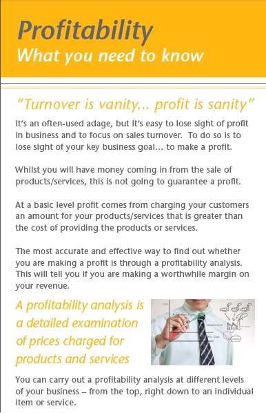 Profitability article